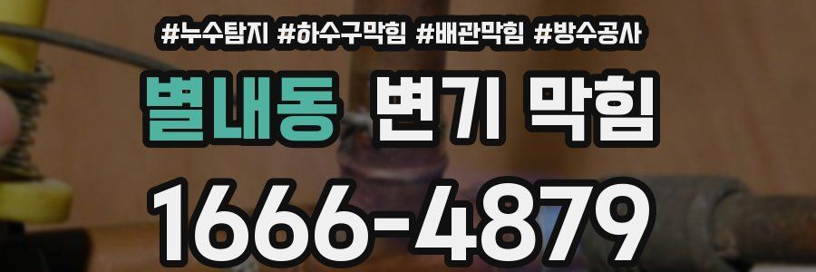 별내동 변기 막힘