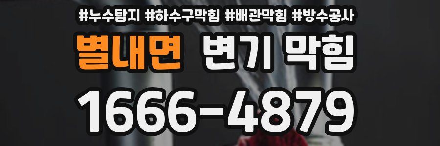 별내면 변기 막힘