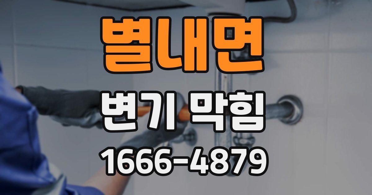 별내면 변기 막힘