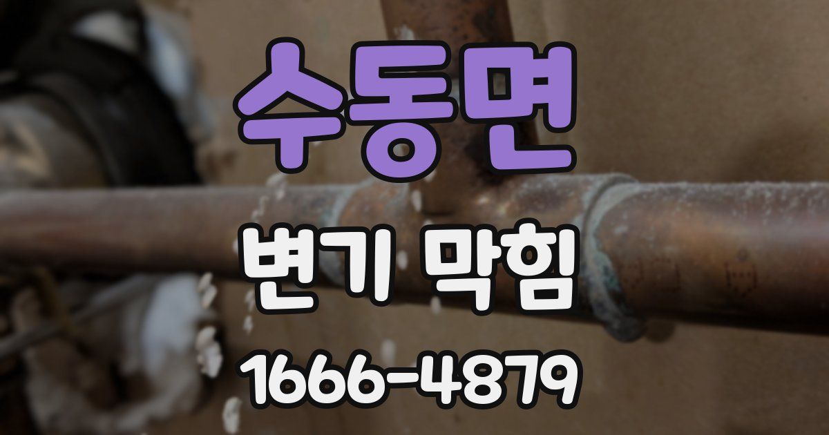 수동면 변기 막힘