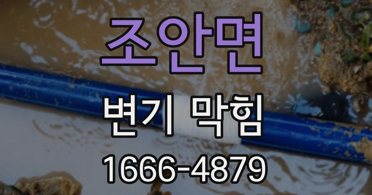 조안면 변기 막힘