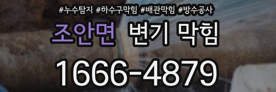 조안면 변기 막힘