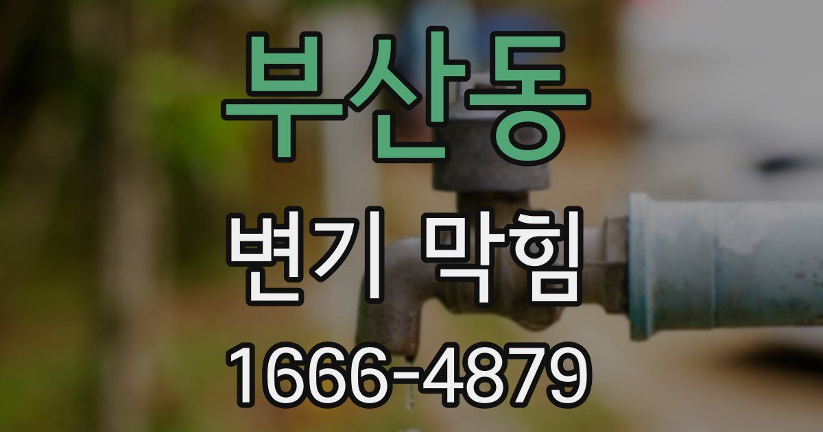 부산동 변기 막힘