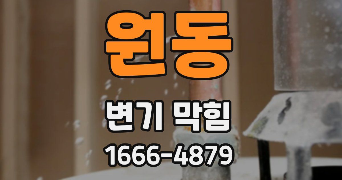 원동 변기 막힘