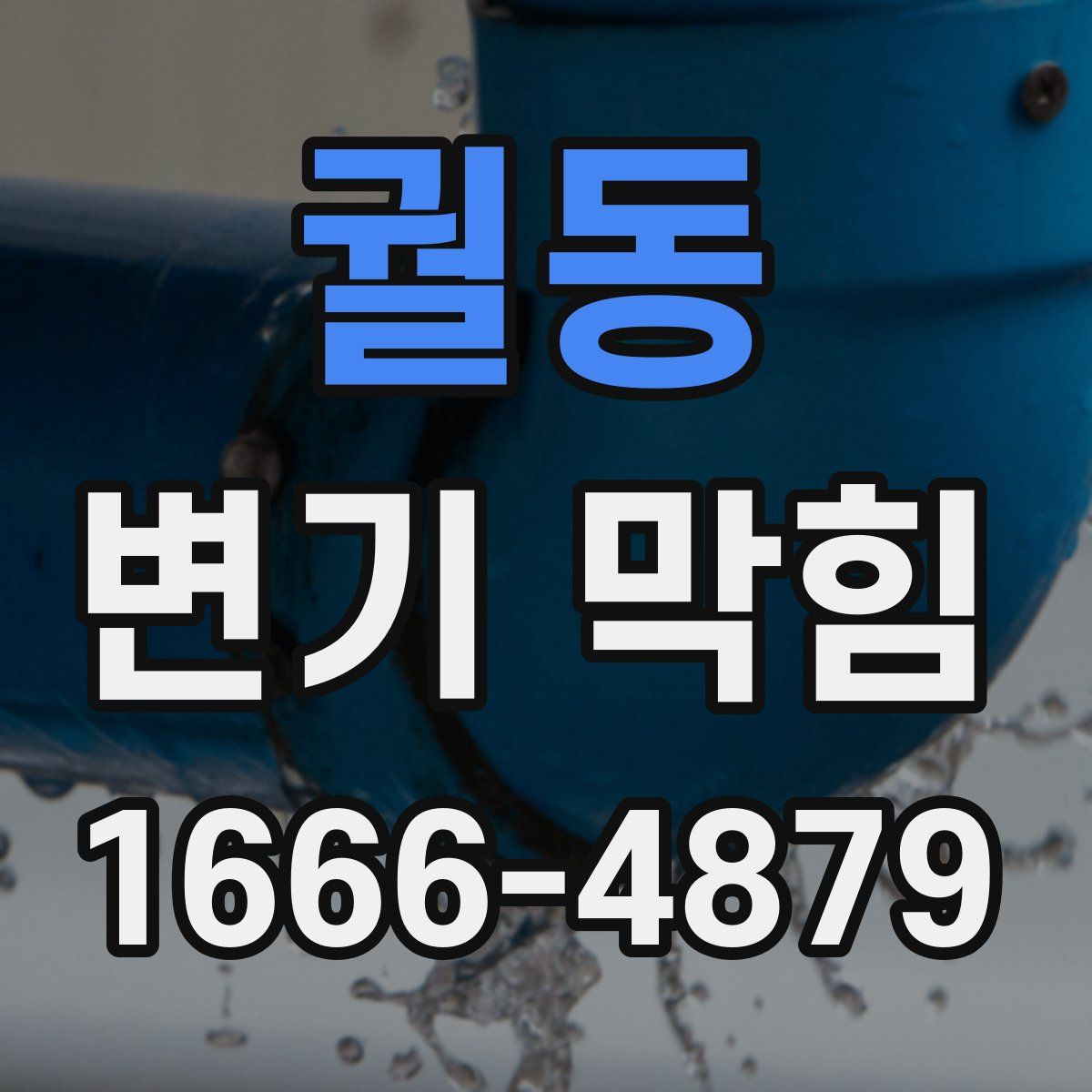 궐동 변기 막힘