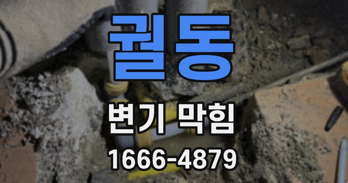 궐동 변기 막힘