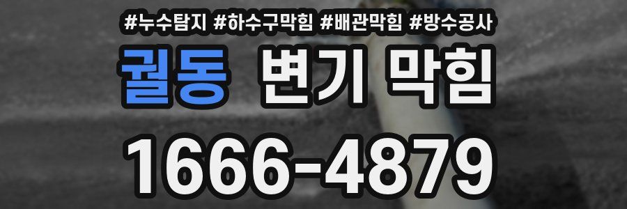 궐동 변기 막힘