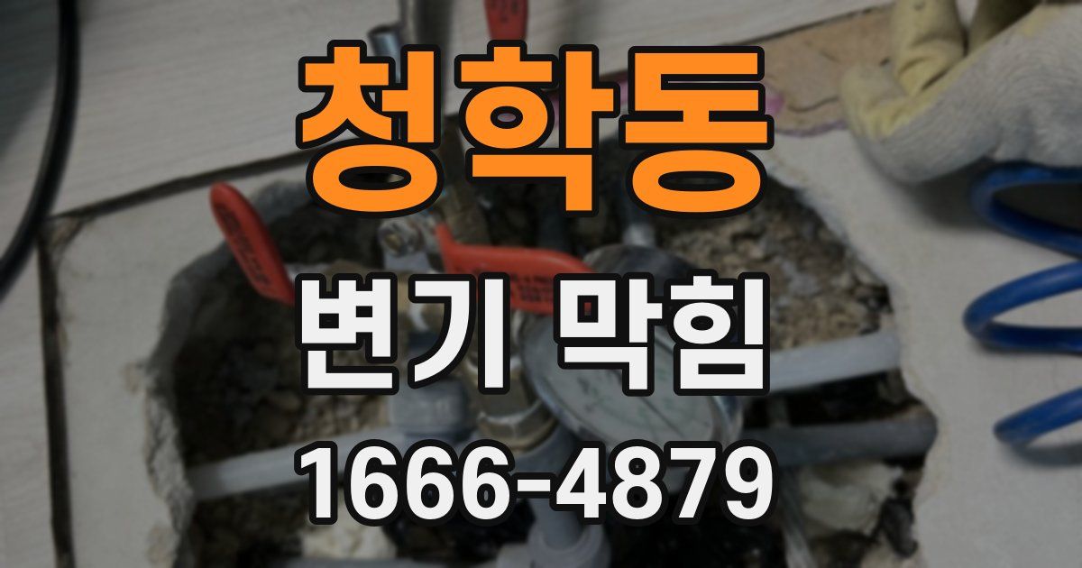 청학동 변기 막힘