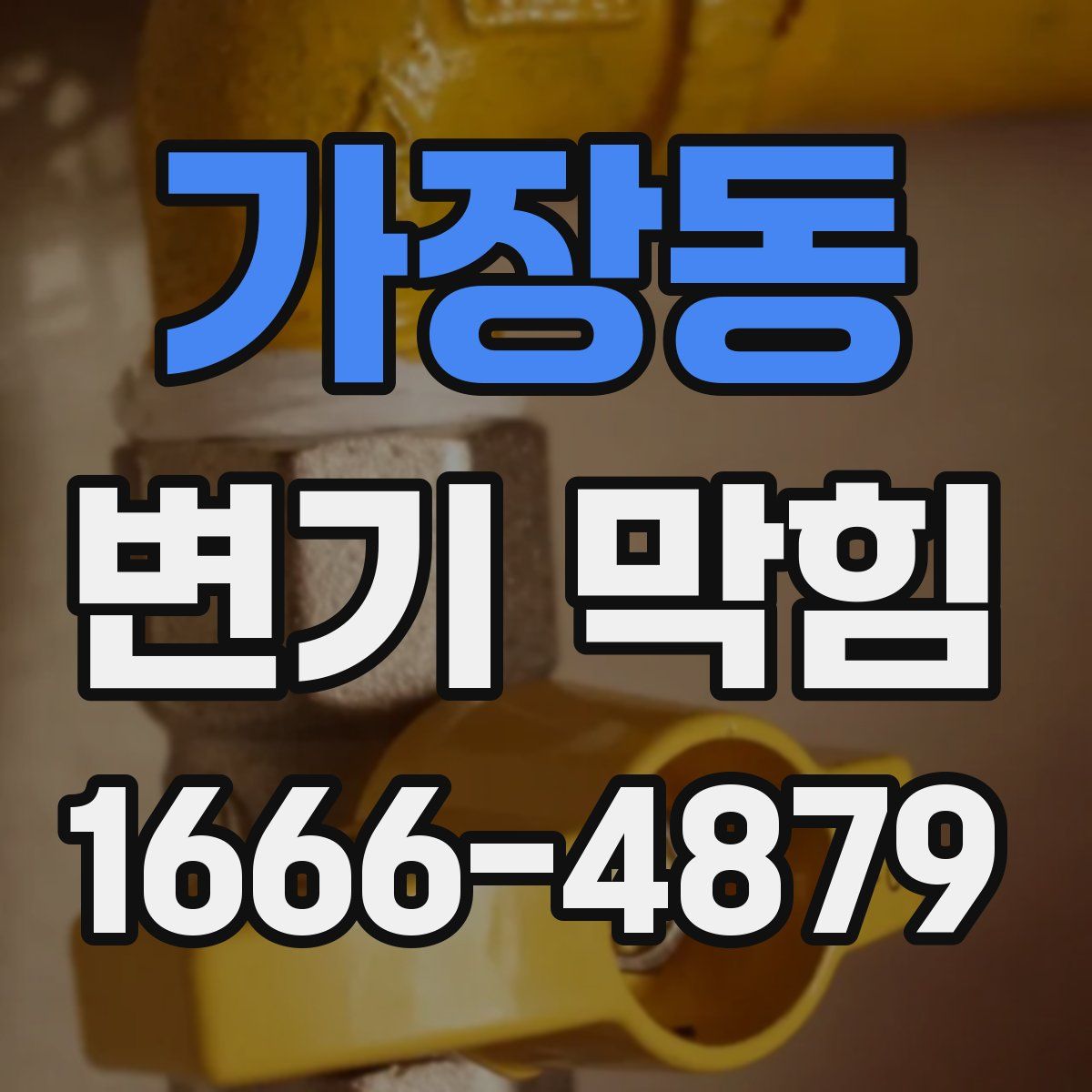 가장동 변기 막힘