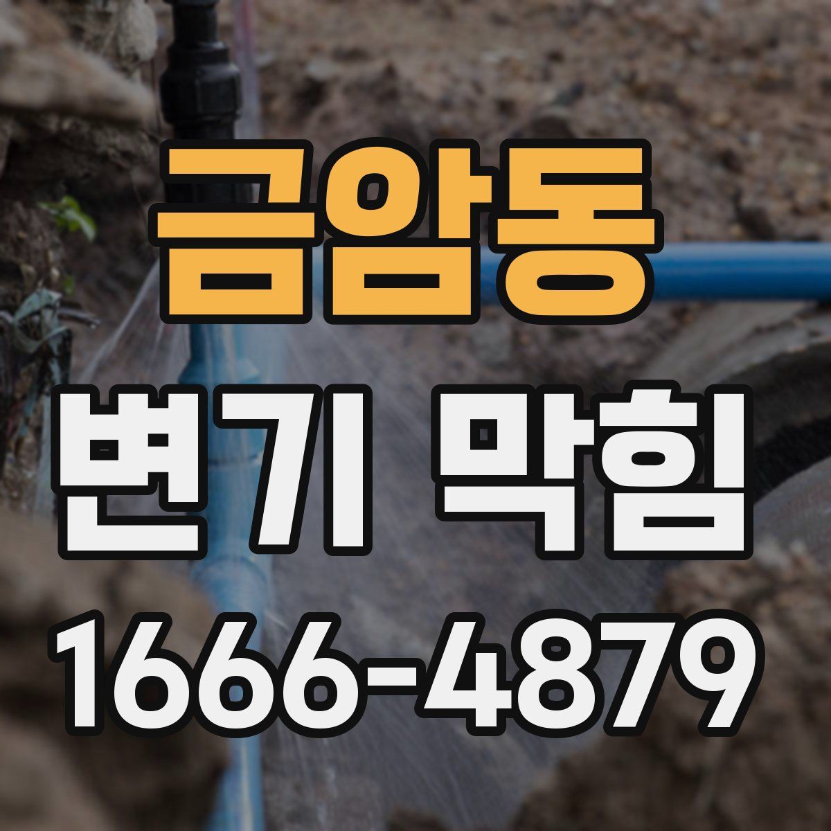 금암동 변기 막힘