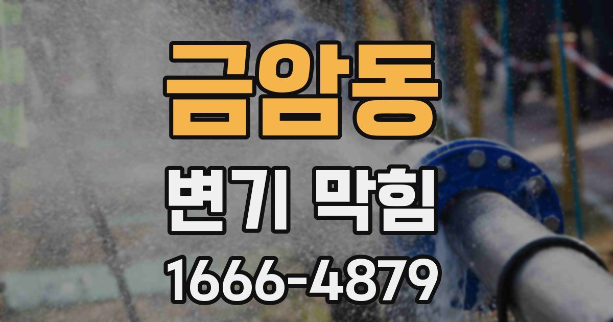 금암동 변기 막힘