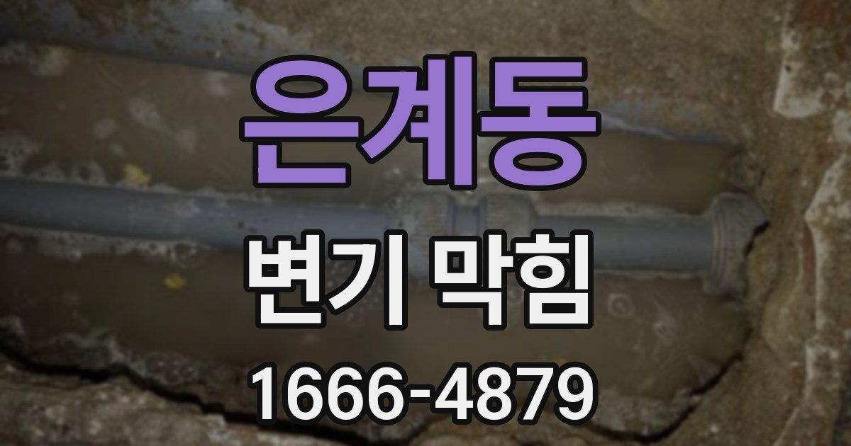 은계동 변기 막힘