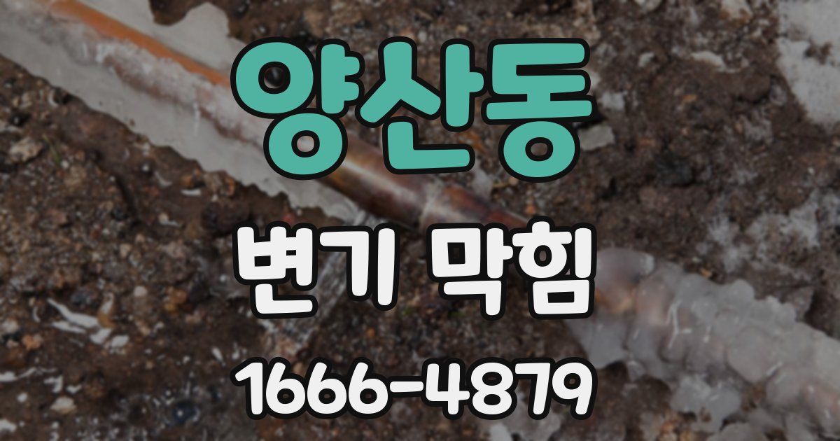 양산동 변기 막힘