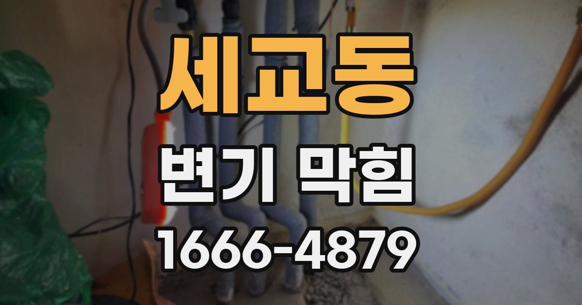세교동 변기 막힘