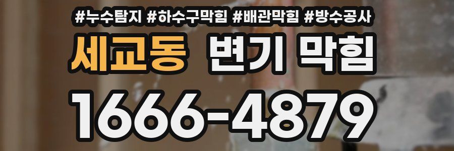 세교동 변기 막힘
