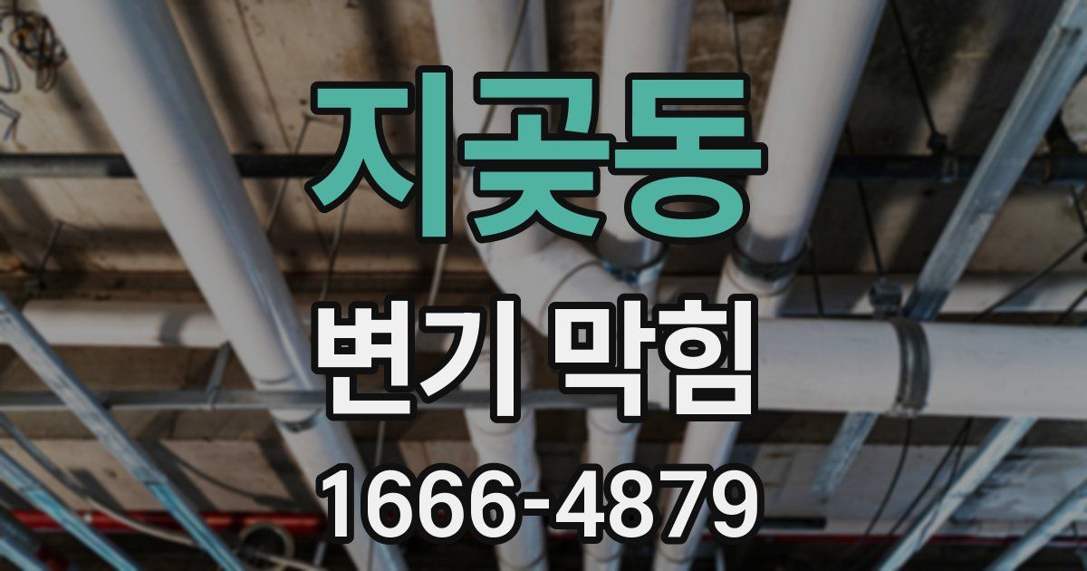 지곶동 변기 막힘