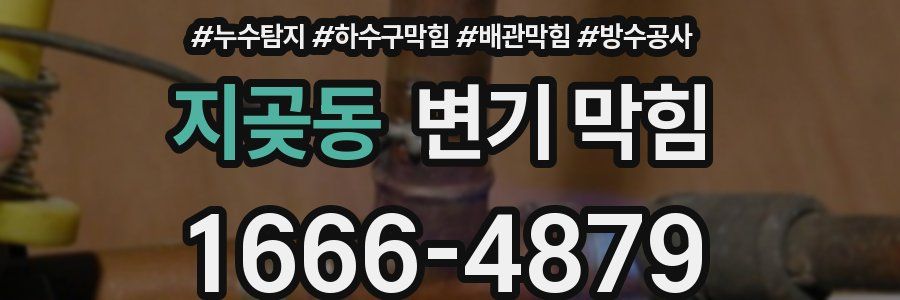 지곶동 변기 막힘