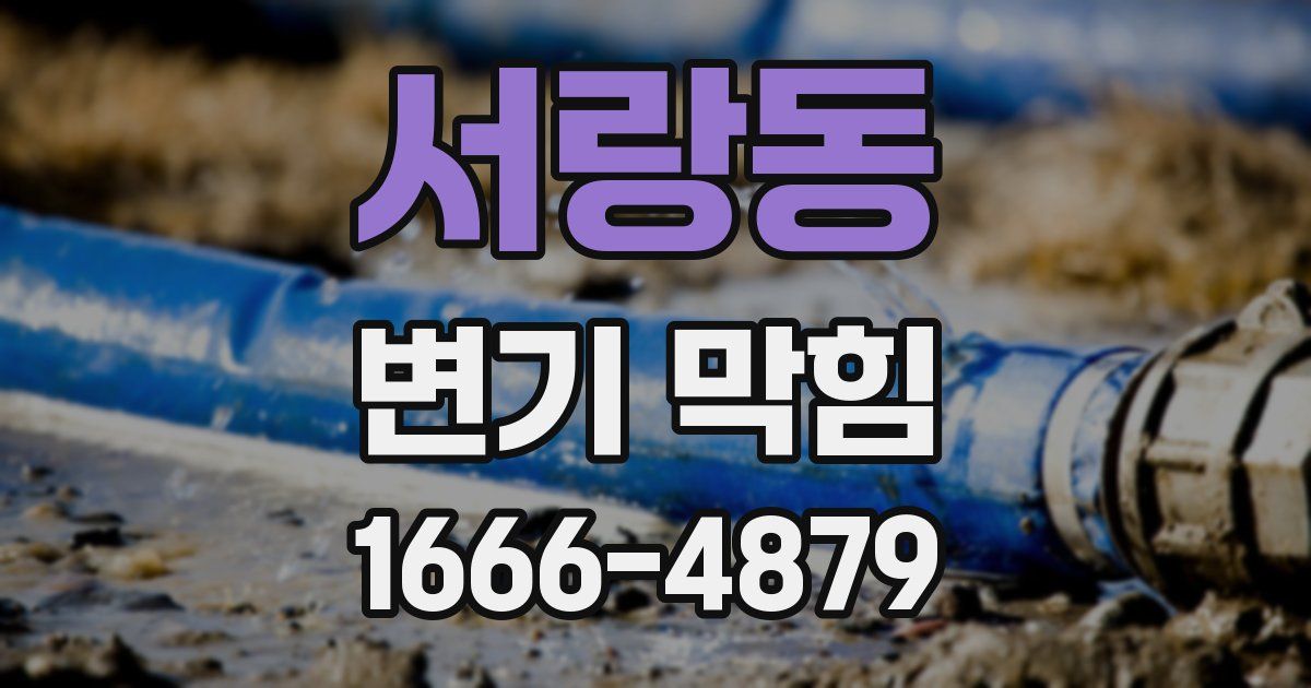 서랑동 변기 막힘