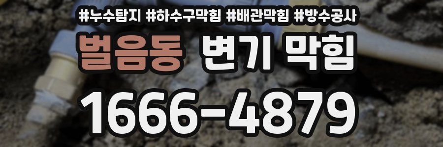 벌음동 변기 막힘