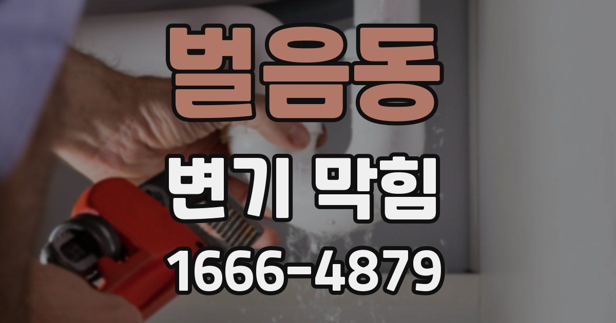 벌음동 변기 막힘