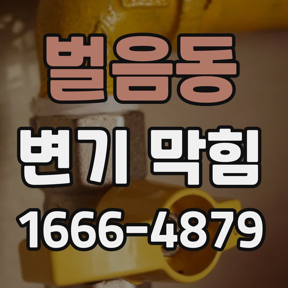 벌음동 변기 막힘