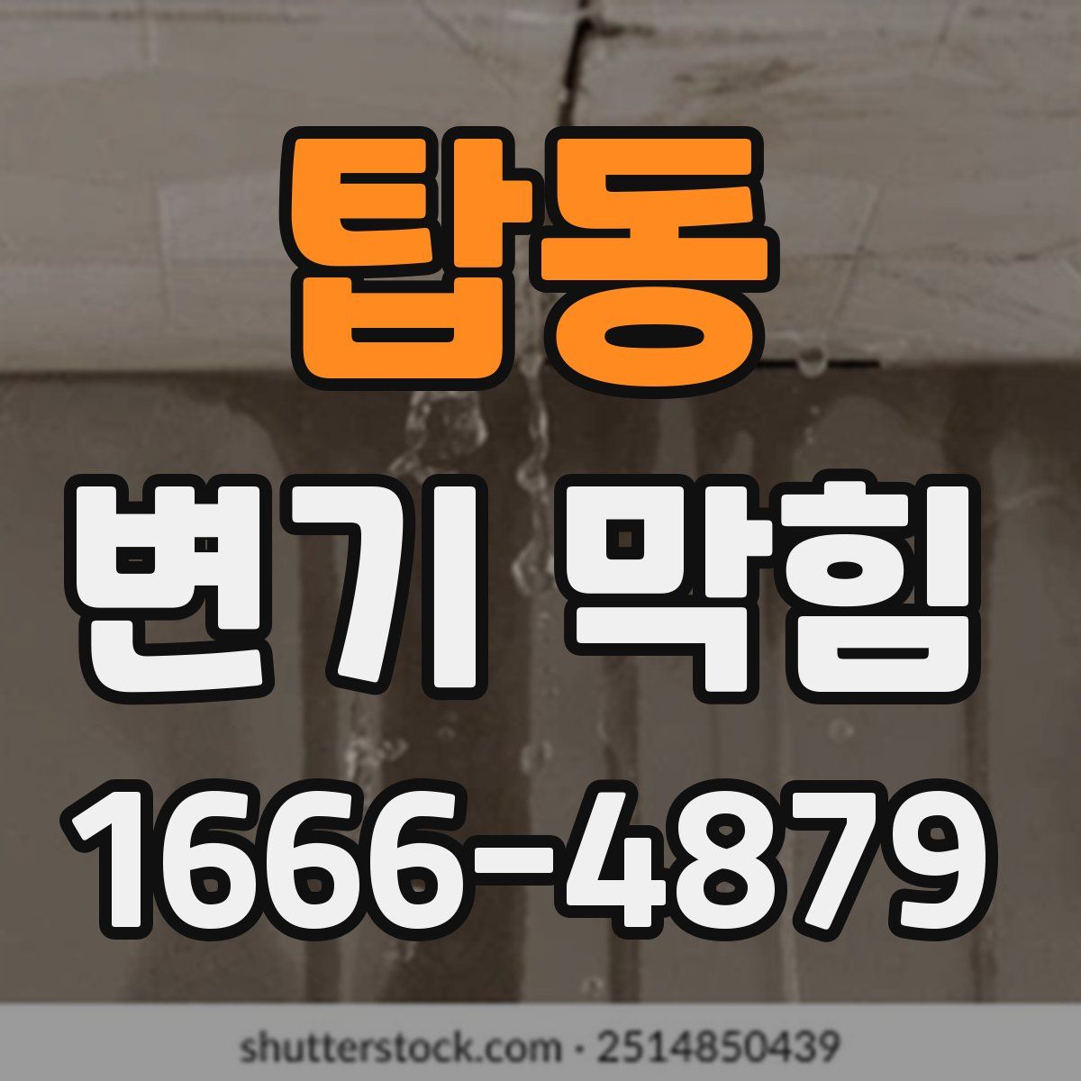 탑동 변기 막힘