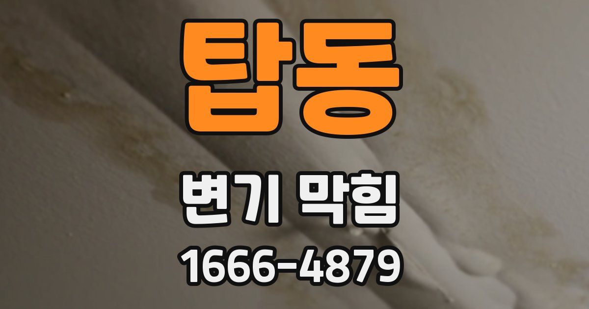 탑동 변기 막힘