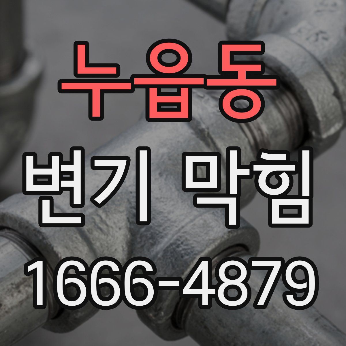 누읍동 변기 막힘