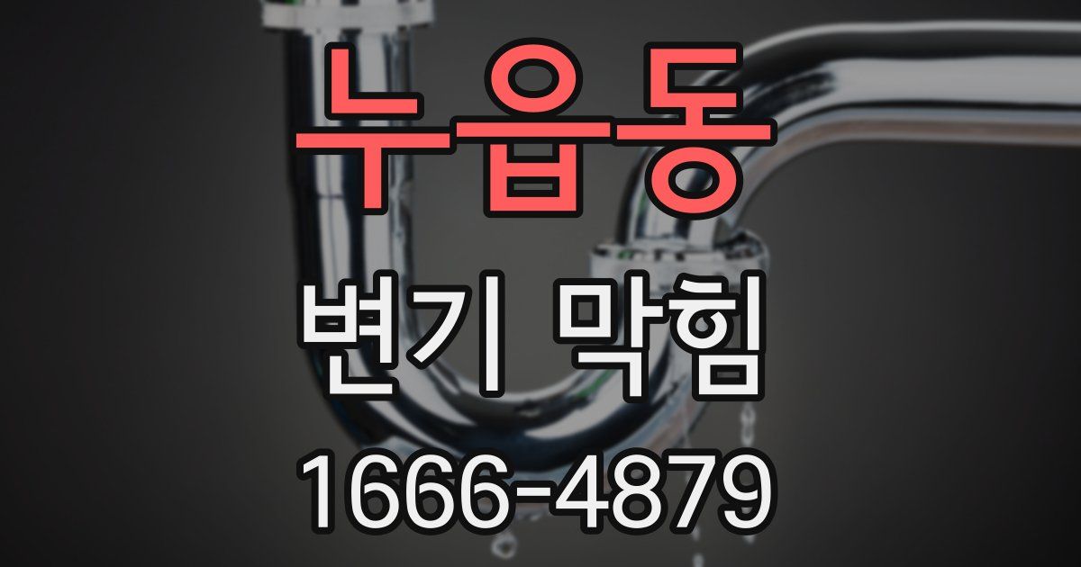 누읍동 변기 막힘