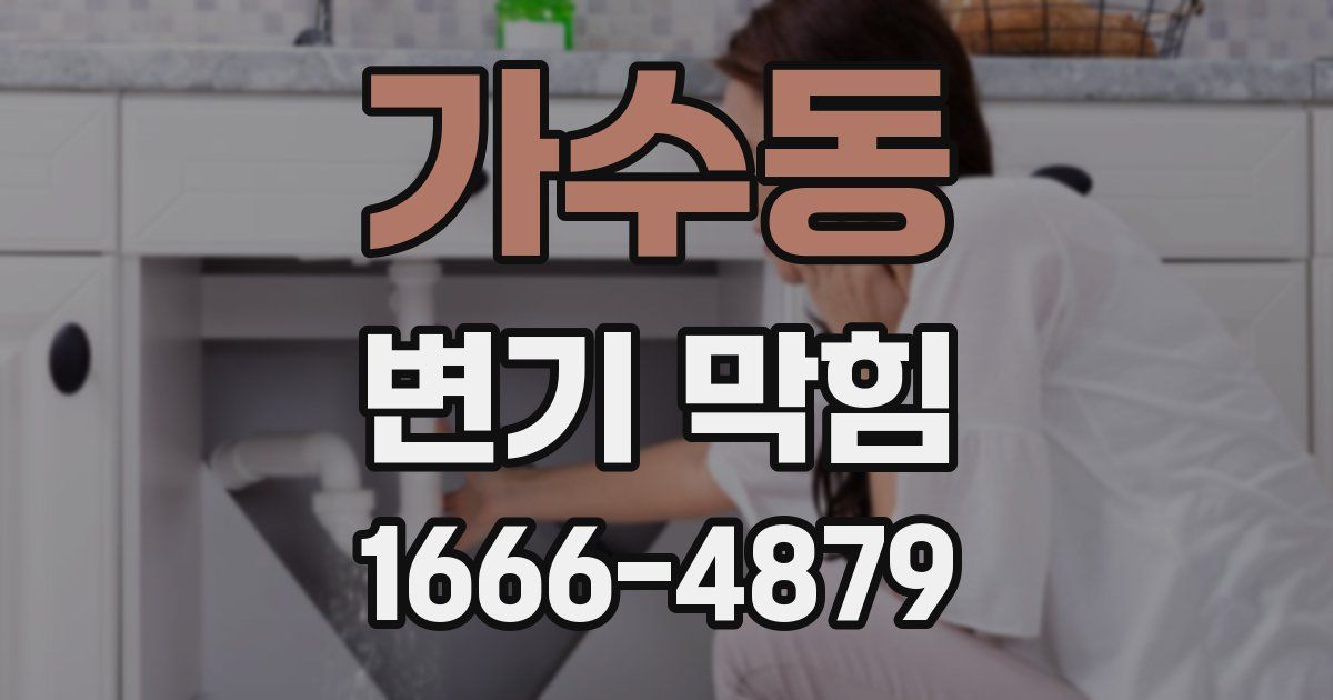 가수동 변기 막힘