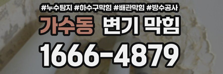 가수동 변기 막힘