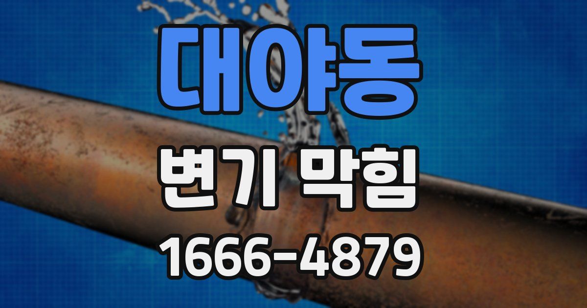 대야동 변기 막힘