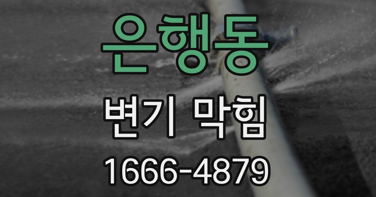 은행동 변기 막힘