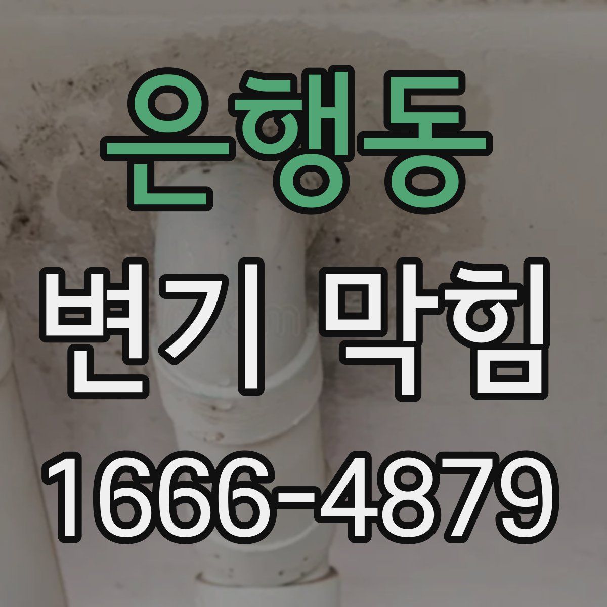 은행동 변기 막힘