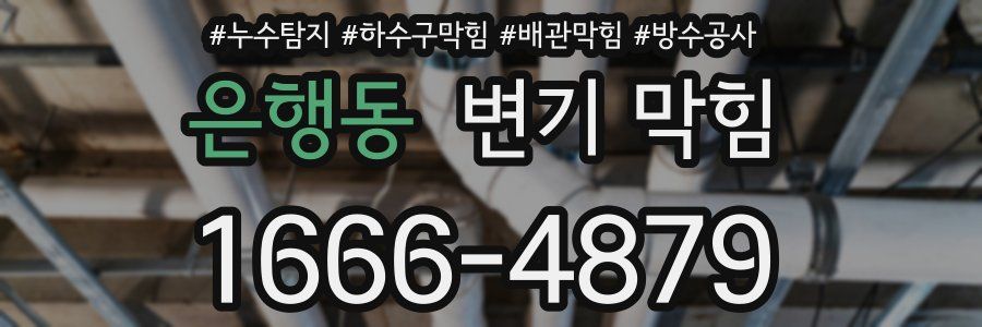 은행동 변기 막힘