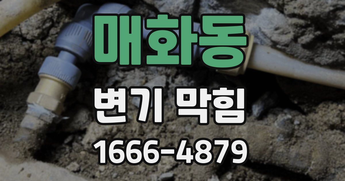 매화동 변기 막힘