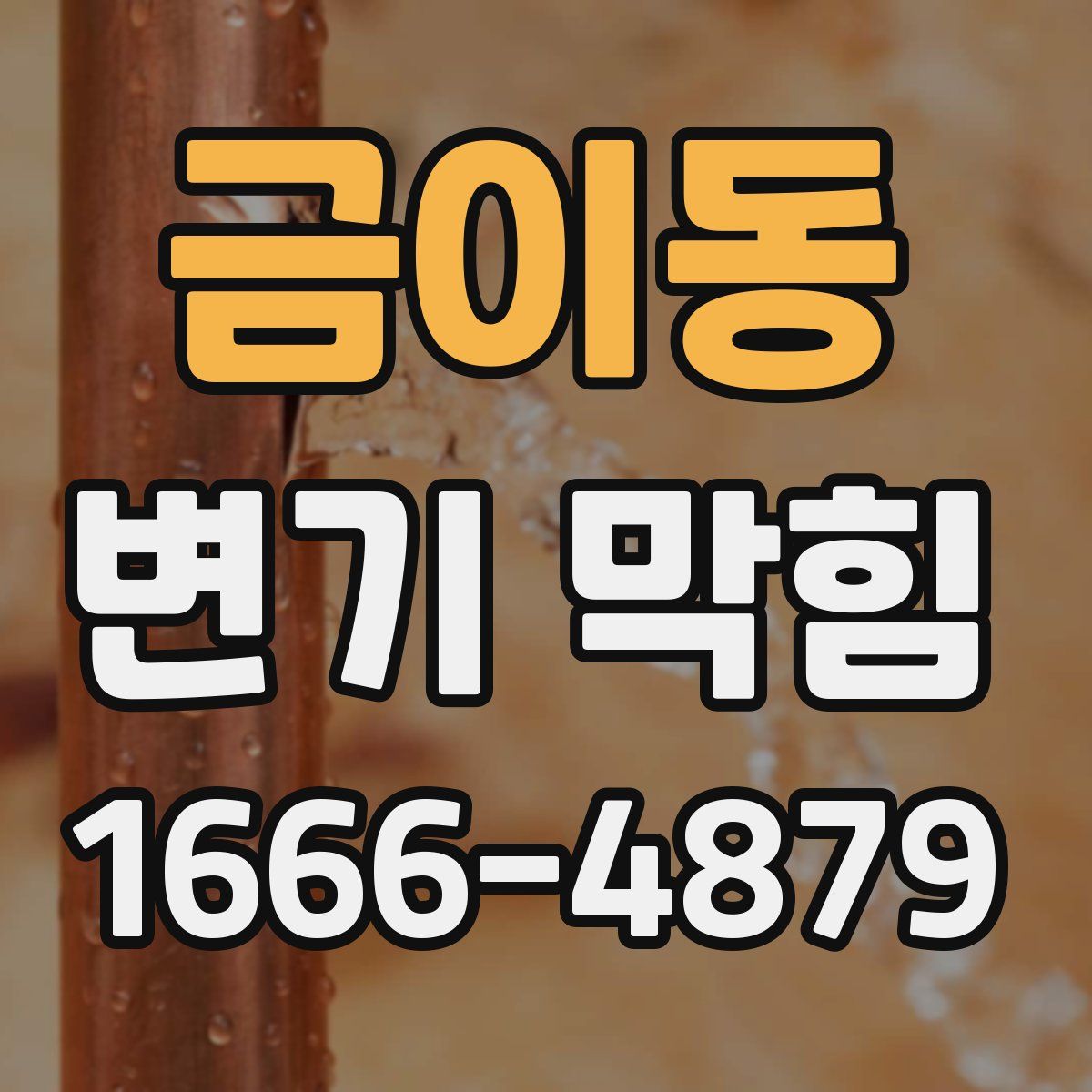 금이동 변기 막힘