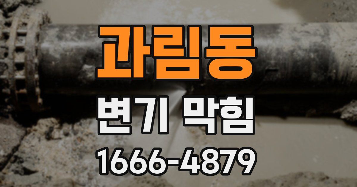 과림동 변기 막힘