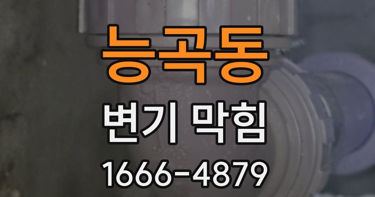 능곡동 변기 막힘
