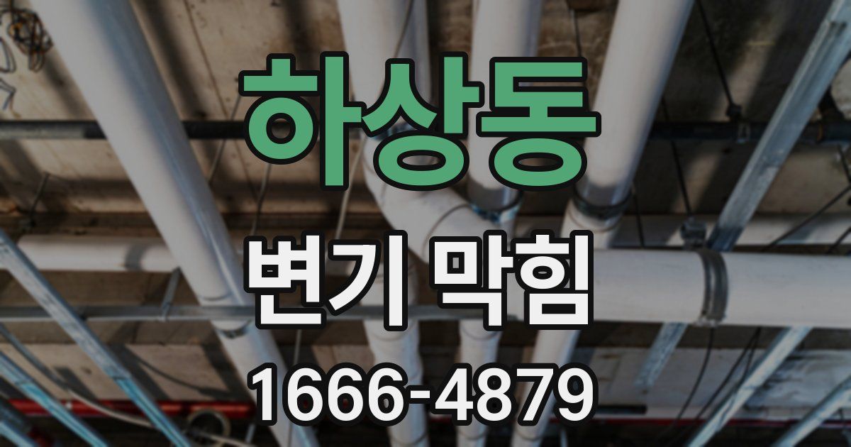하상동 변기 막힘