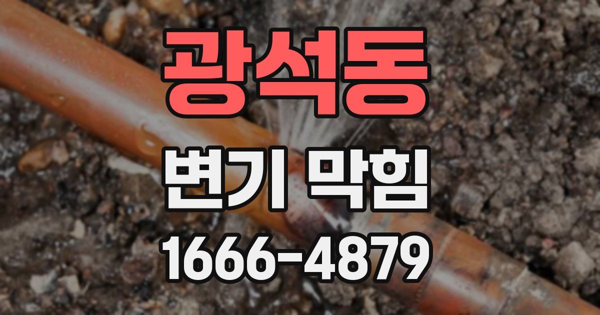 광석동 변기 막힘