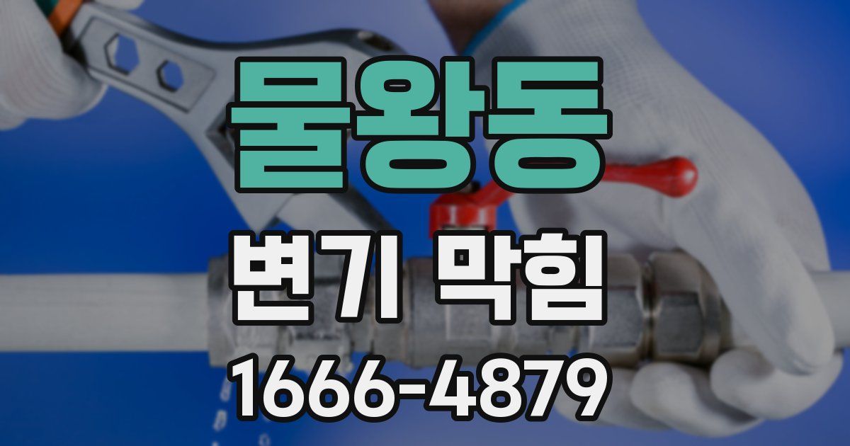 물왕동 변기 막힘