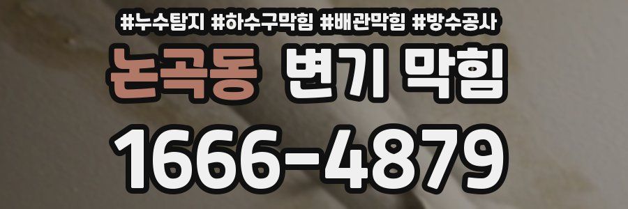 논곡동 변기 막힘