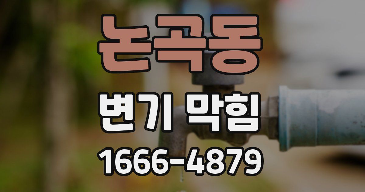 논곡동 변기 막힘