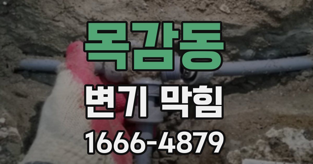 목감동 변기 막힘