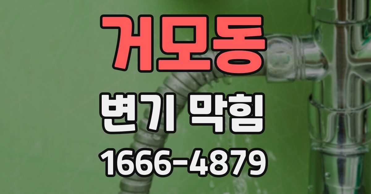 거모동 변기 막힘
