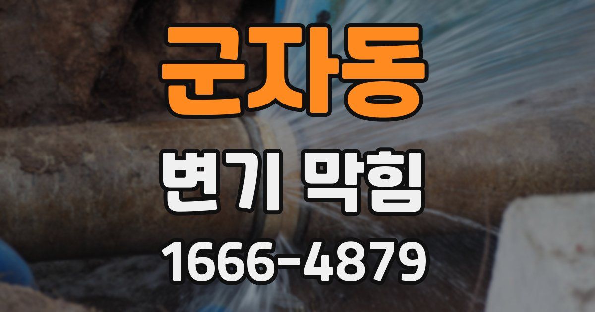 군자동 변기 막힘