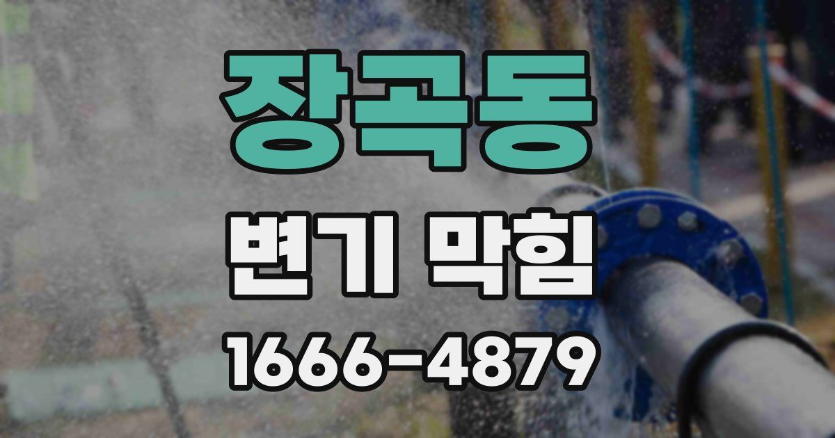 장곡동 변기 막힘