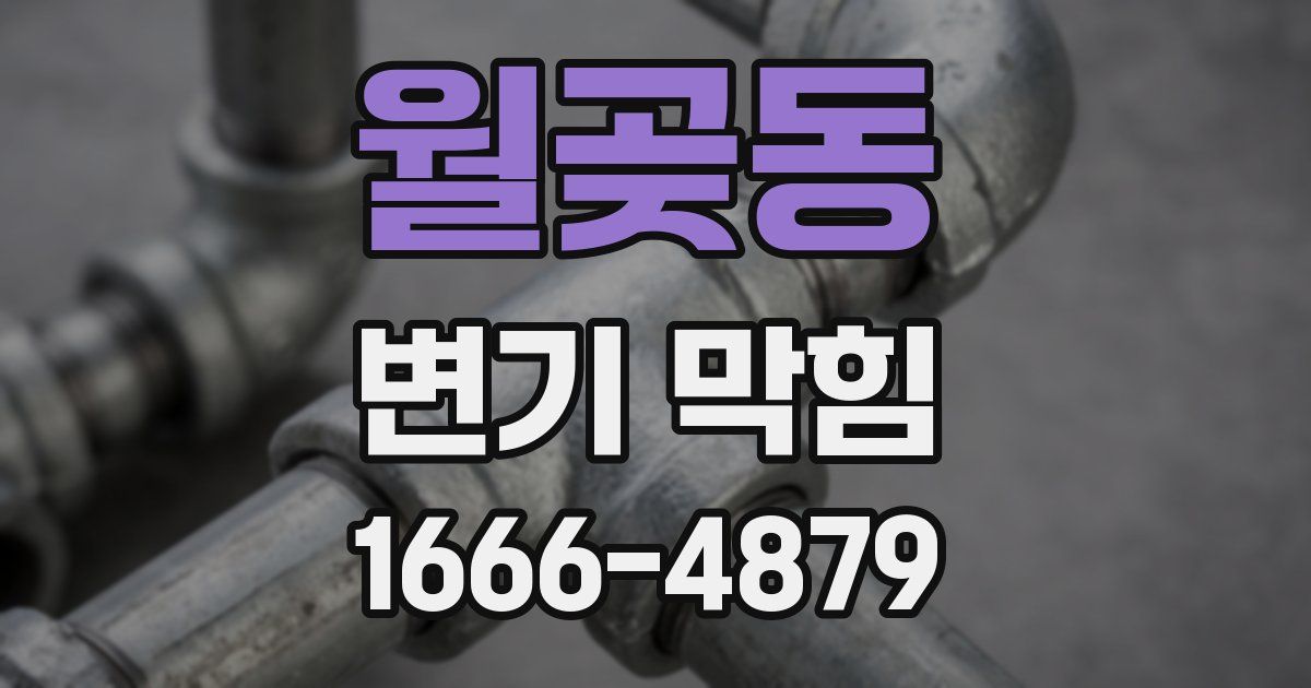 월곶동 변기 막힘