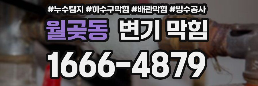 월곶동 변기 막힘